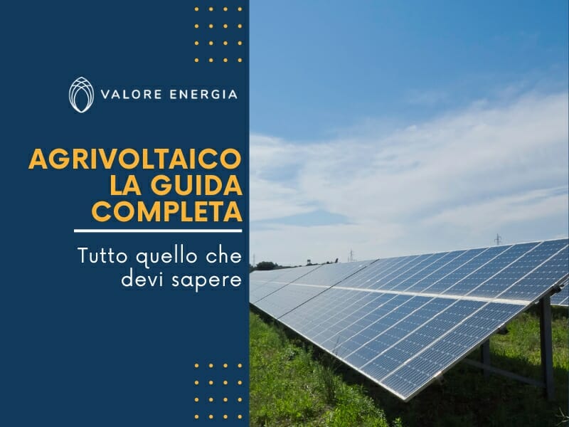 Agrivoltaico: tutto quello che devi sapere.